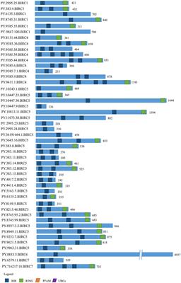 IAPs Gene Expansion in the Scallop Patinopecten yessoensis and Their Expression Profiles After Exposure to the Toxic Dinoflagellate